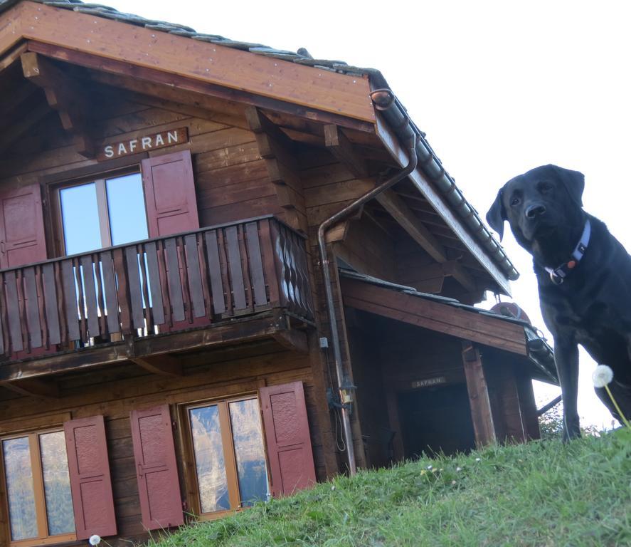 Chalet Safran Grächen Exterior foto