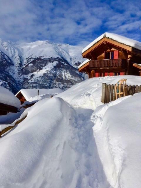 Chalet Safran Grächen Exterior foto